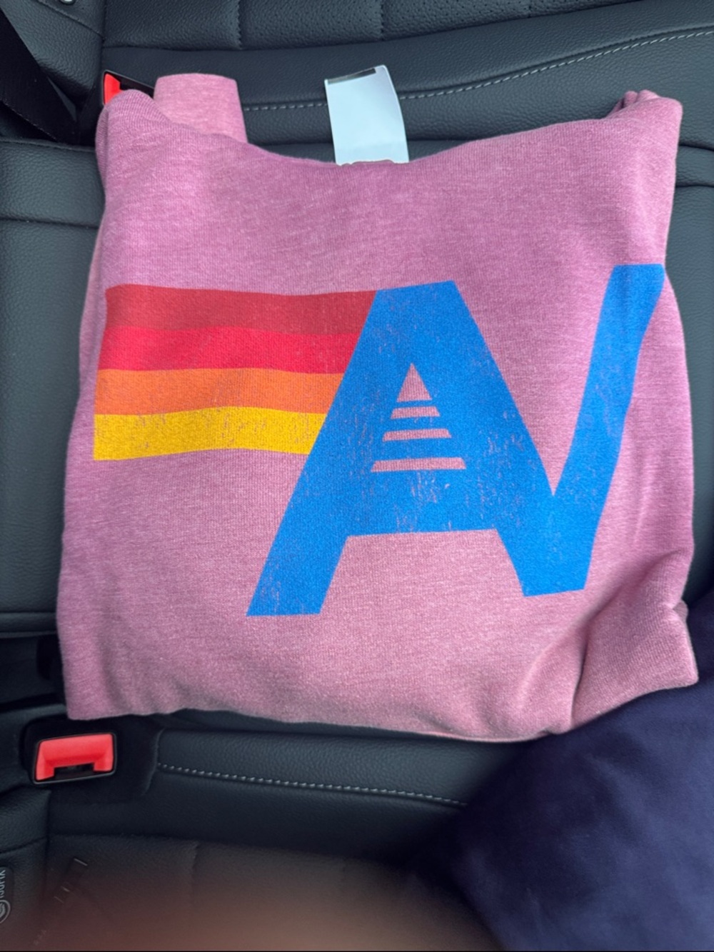 Pink Graphic Sweatshirt with Bold Blue AV brand new with tags